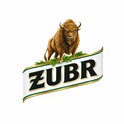 Zubr Gradus